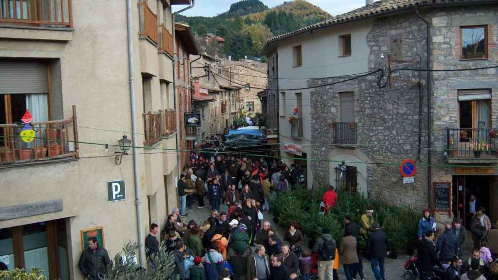 Espinelves en la feria del abeto