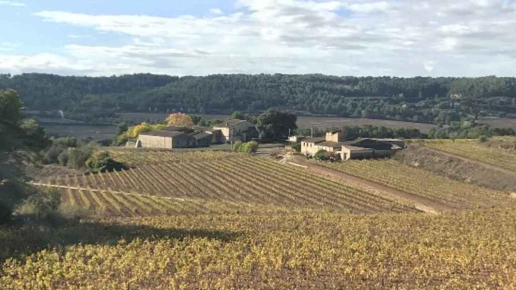 Vinos y cavas  Joan Segura Pujadas