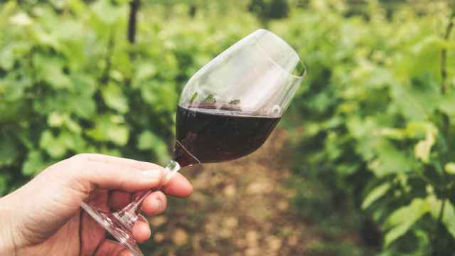 Copa de vino en un viñedo
