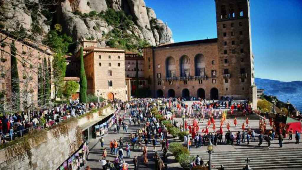 Macropesebre vivent a Montserrat