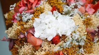 La floristería más famosa de Tiktok: el sueño de una joven emprendedora de ser florista