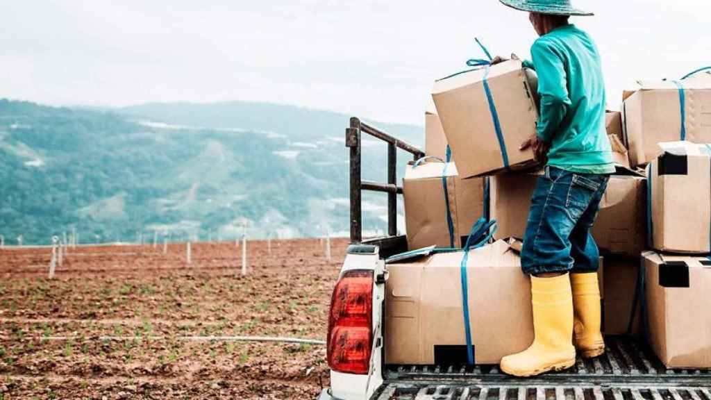 Un trabajador carga unas cajas en una furgoneta