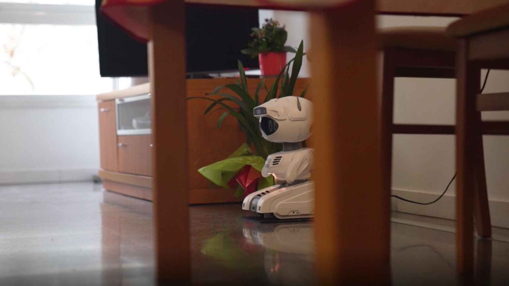El robot ARI creado para ayudar a mejorar la atención que reciben los ancianos que viven solos