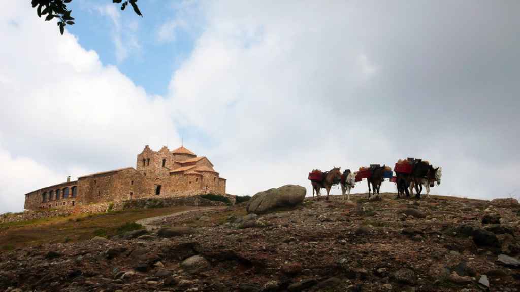 Las mulas de la Mola