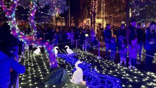 El increíble bosque encantado de Navidad a 10 minutos de Barcelona: un viaje inmersivo  a la tradición