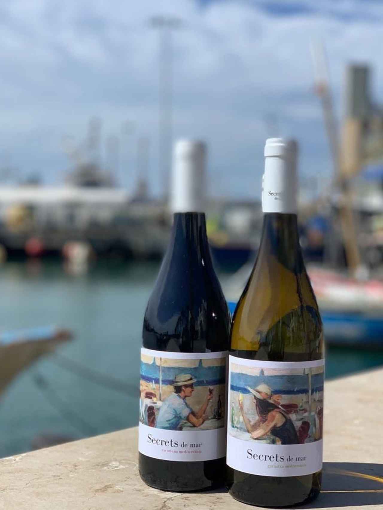 Dos botellas de vino