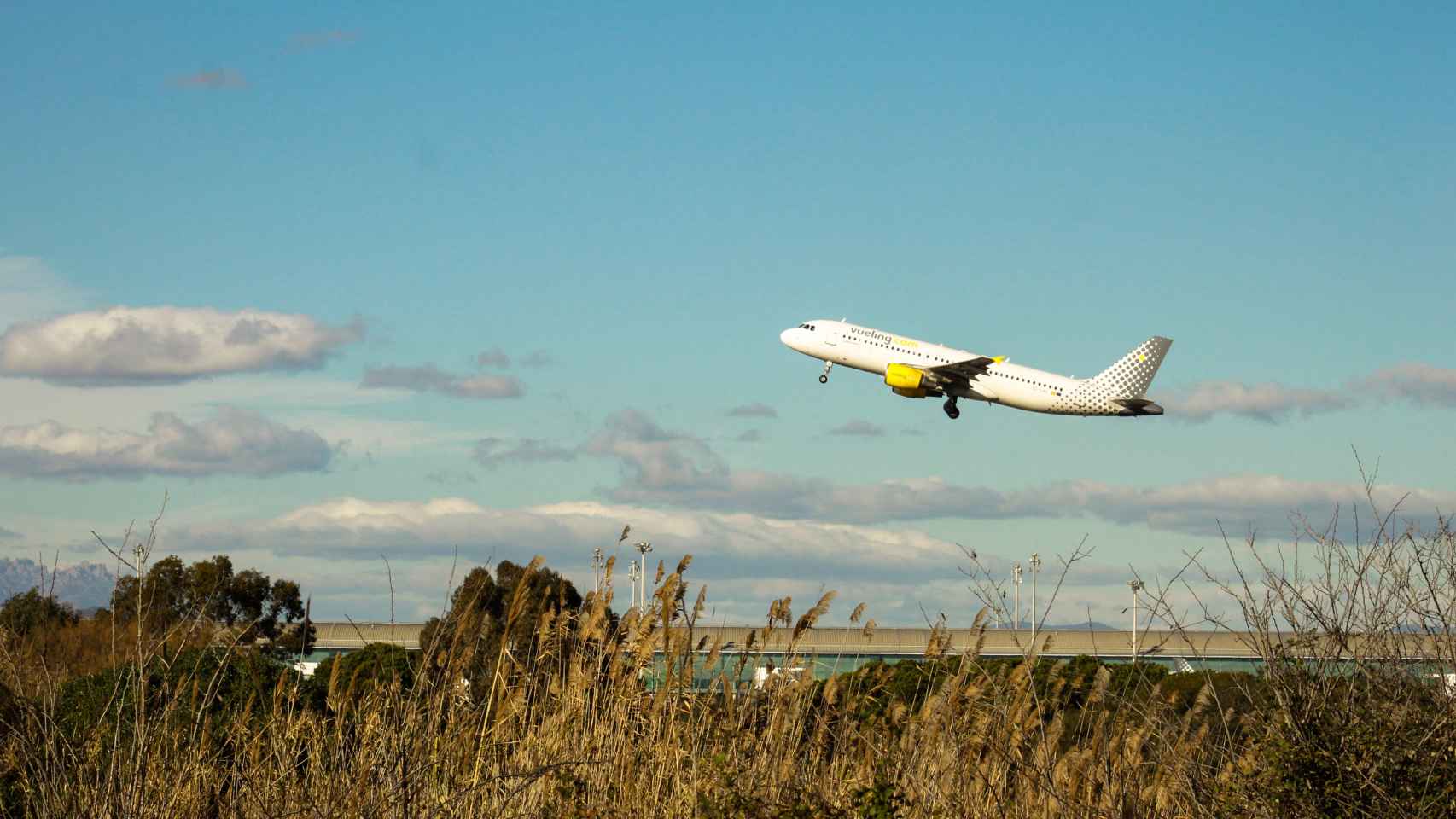 Un avión de Vueling