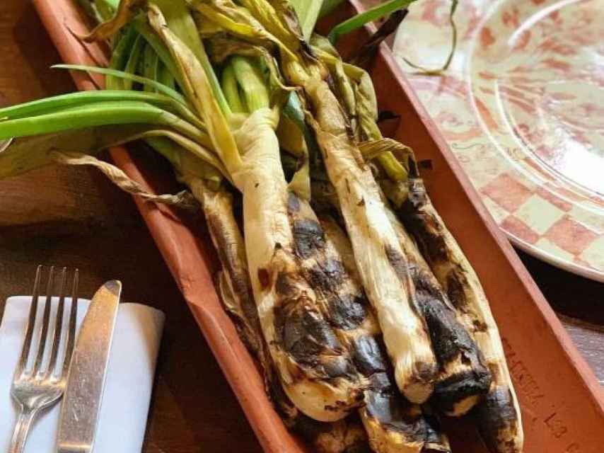 Calçots