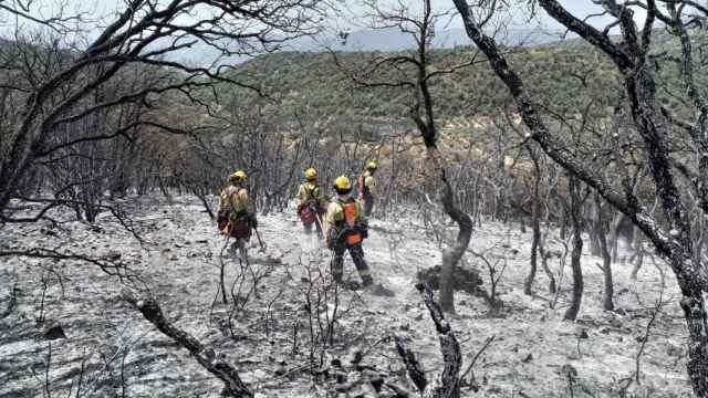 Bomberos del GRAF de Ponent durante el incendio de Baldomar el 2022