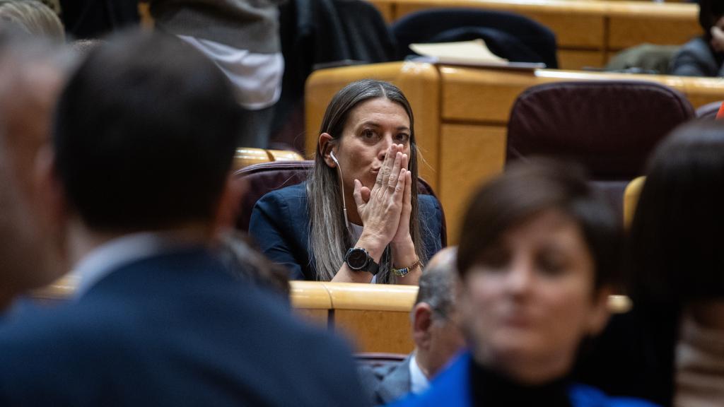 La portavoz de Junts en el Congreso, Miriam Nogueras, en el Senado