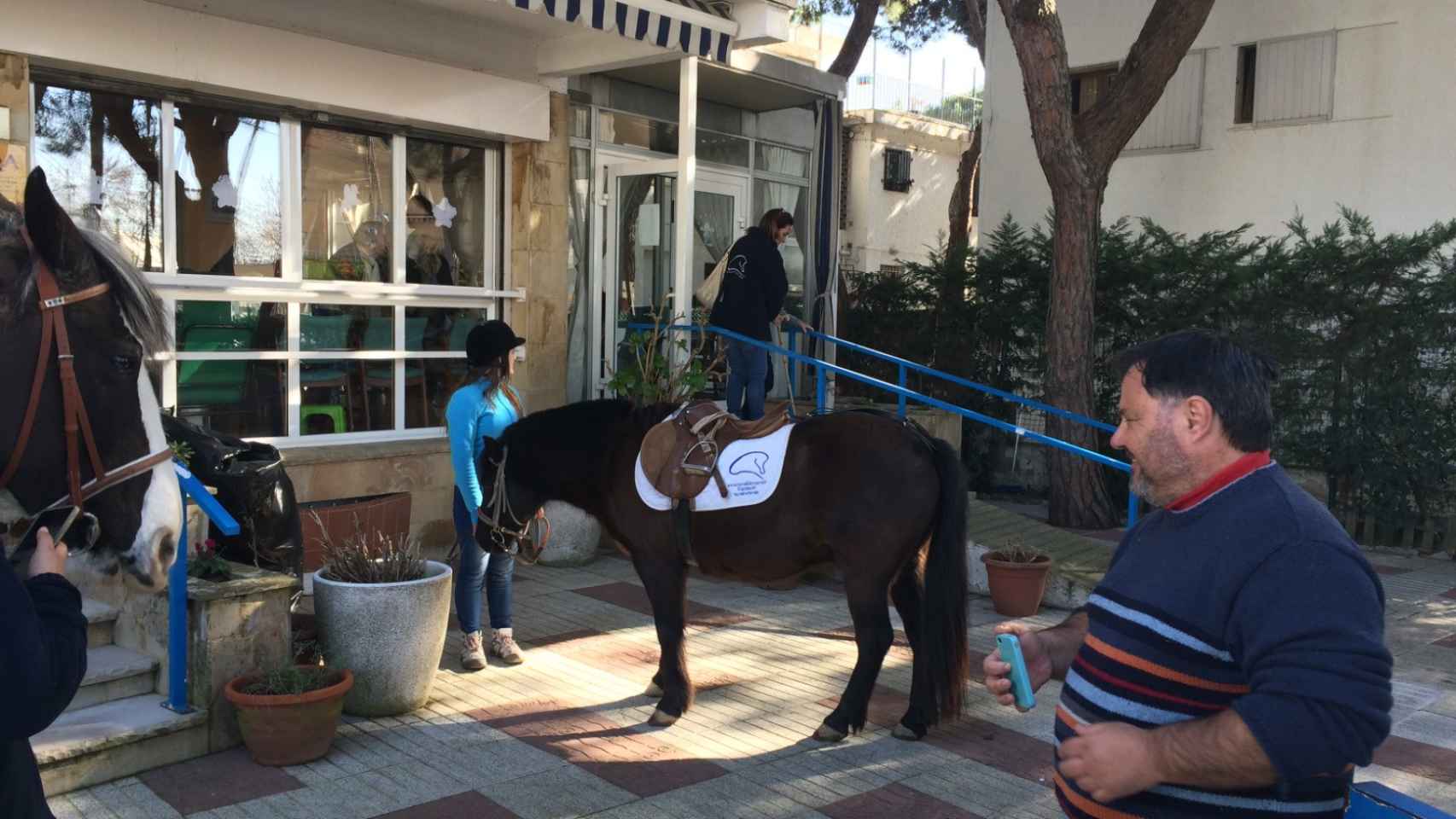 Una actividad con caballos llevada a cabo en la residencia Bellamar durante la gestión de Antoni