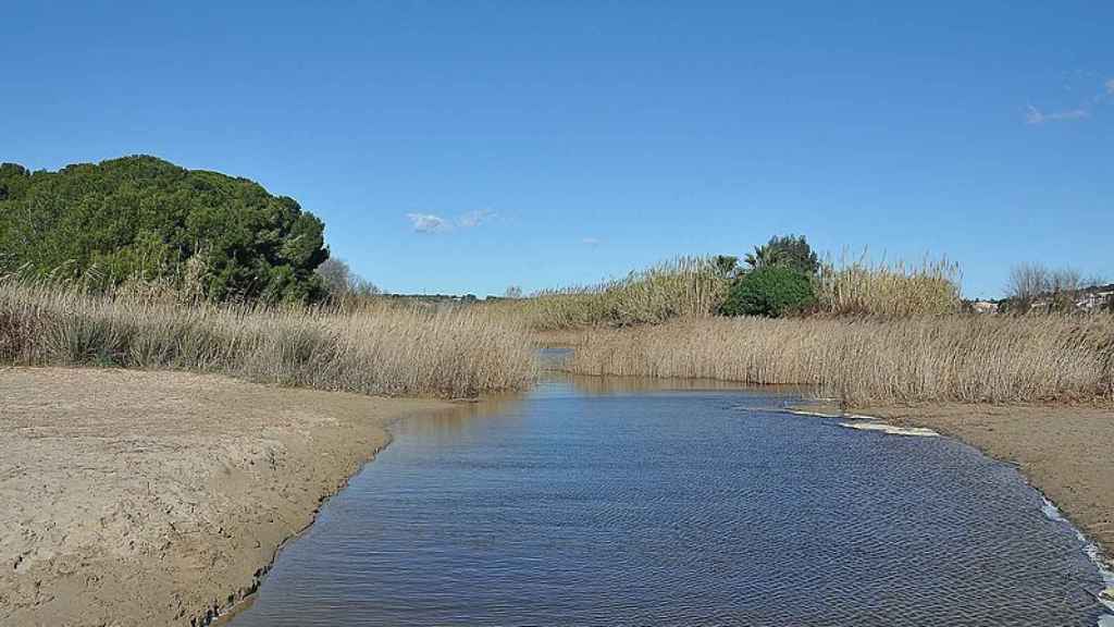 Desembocadura del rio Gaià