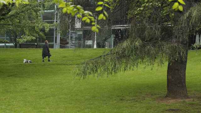 Una persona con un perro pasea por un parque