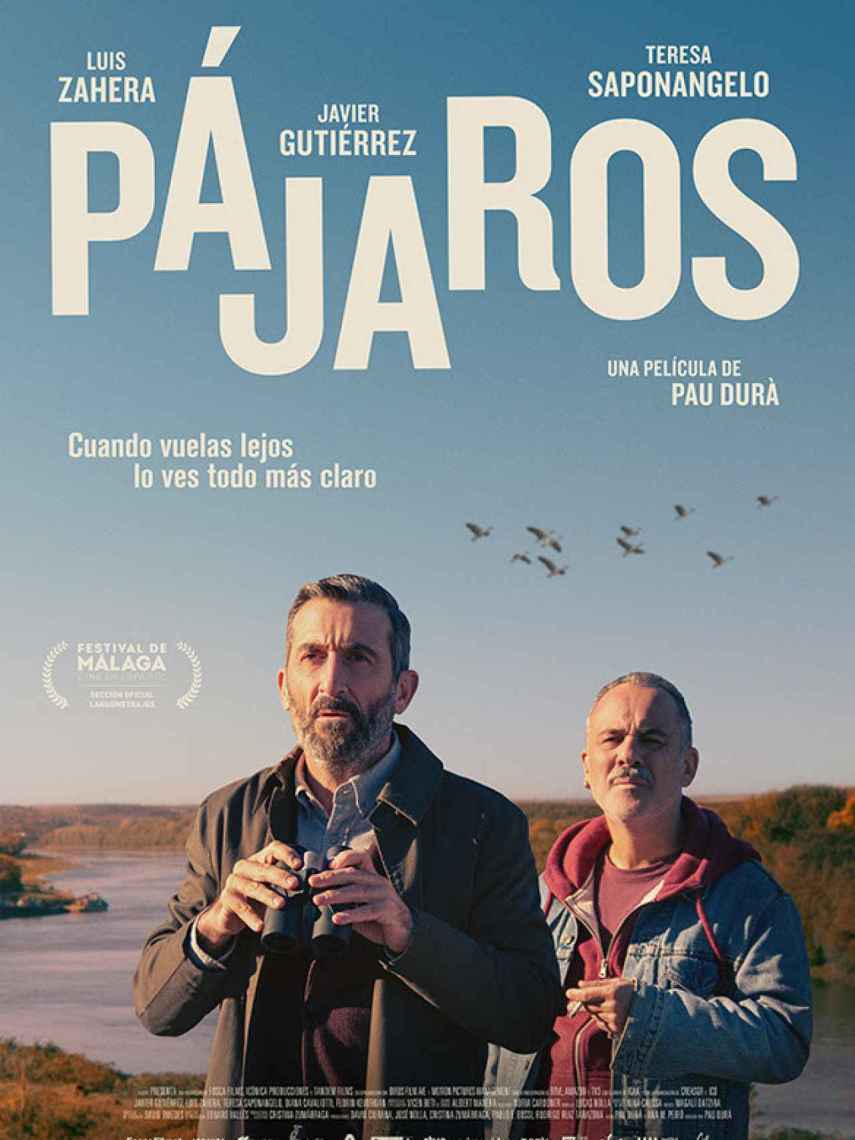 Cartel de 'Pájaros'