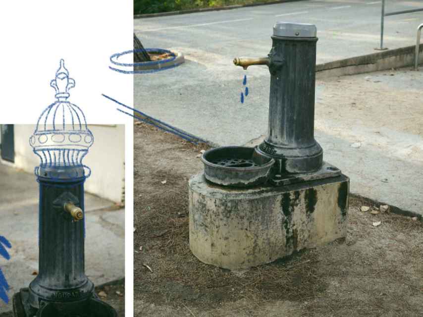 Fuente circuncidada