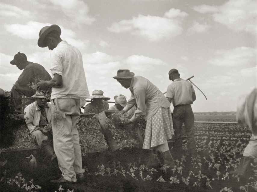 Tennessee, 1950