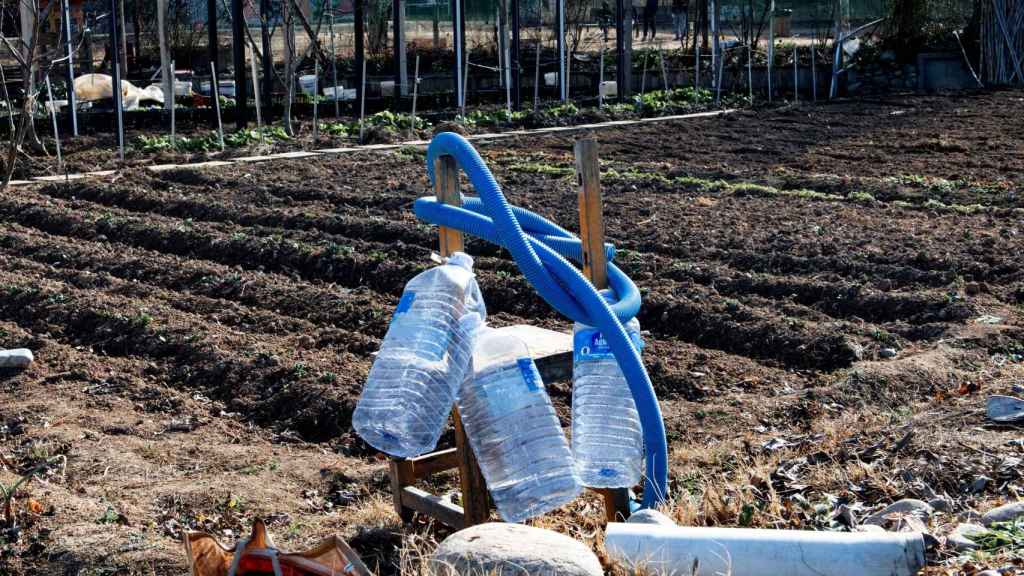 Una explotación agrícola aprovecha al máximo el agua