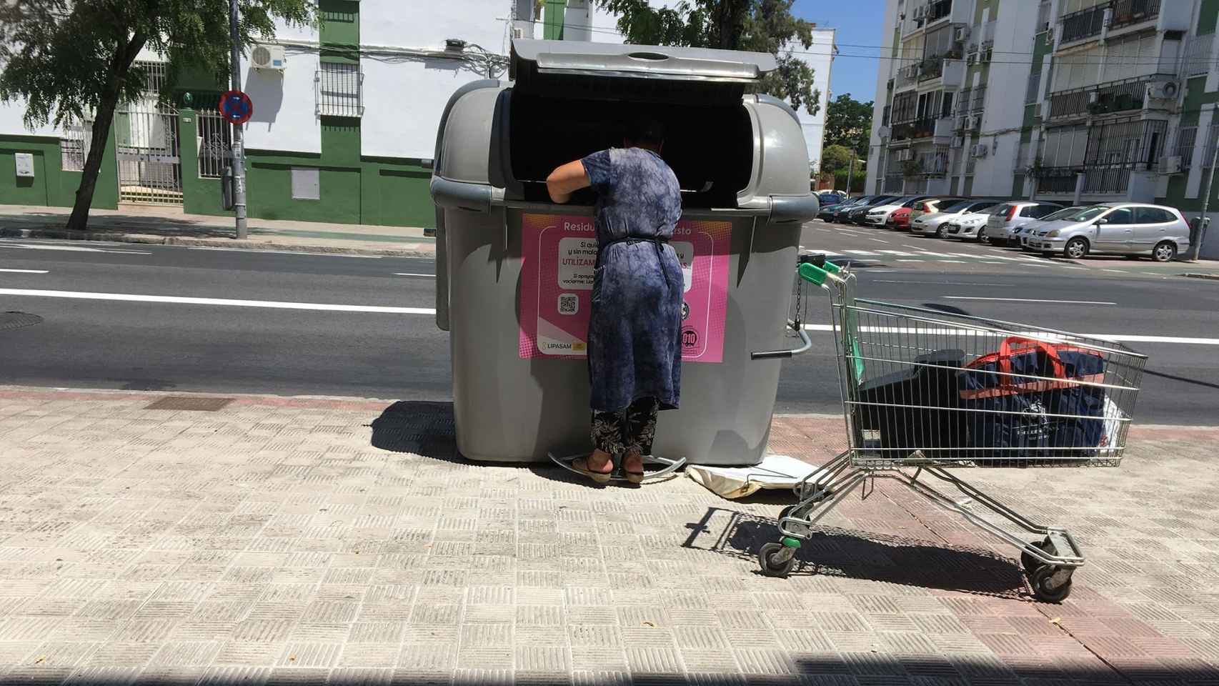 Una persona busca en un contenedor de basura