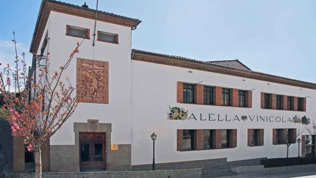 Alella Vinícola Celler