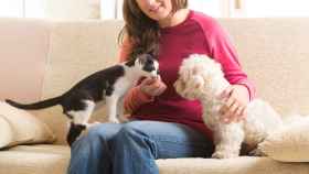 Perros y gatos, el 74% de los dueños de mascotas dice estar mejor durante el confinamiento.
