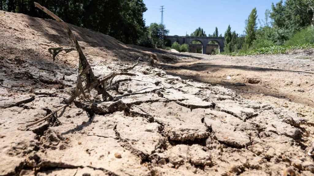 Tierra afectada por la sequía