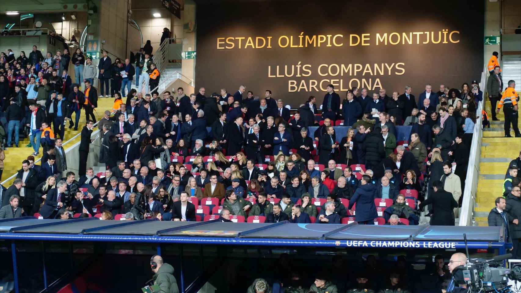 El Palco de Montjuïc en el Barça-Nápoles de Champions
