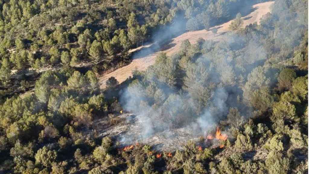 Pequeño incendio en suelo forestal