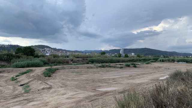 Zona de balsas de infiltración para la recarga del acuífero de la Vall Baixa del Llobregat