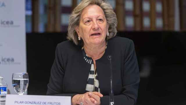 Pilar González de Frutos, expresidenta de Unespa y nueva consejera independiente de VidaCaixa / EP