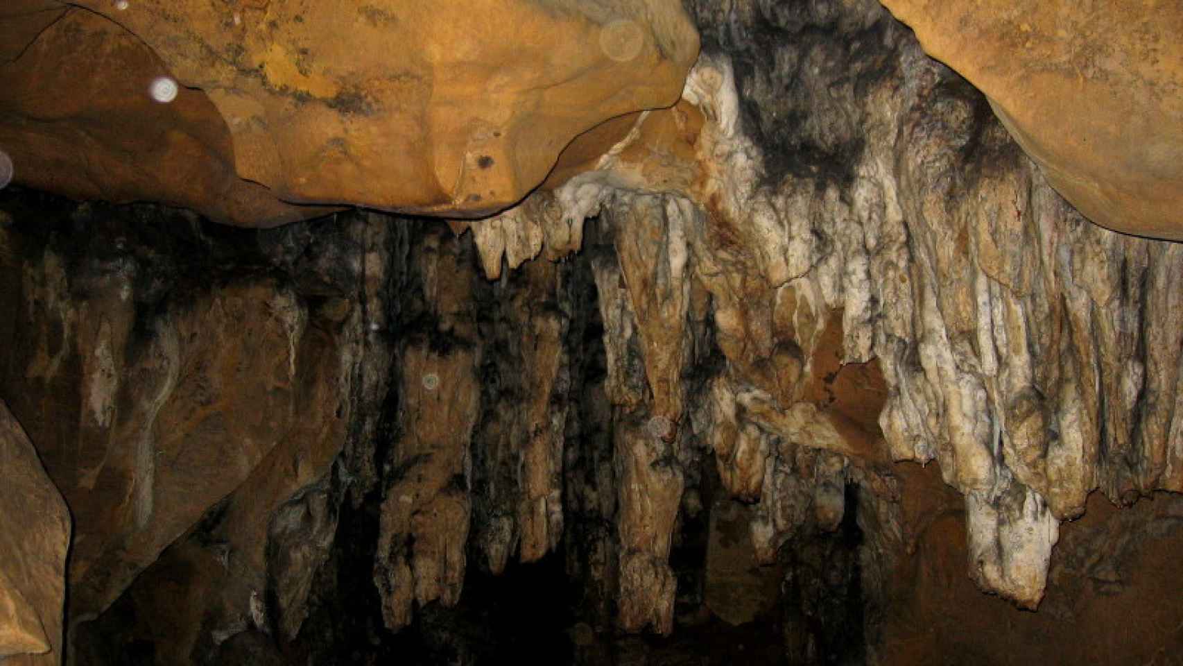 Cueva de los Muricecs