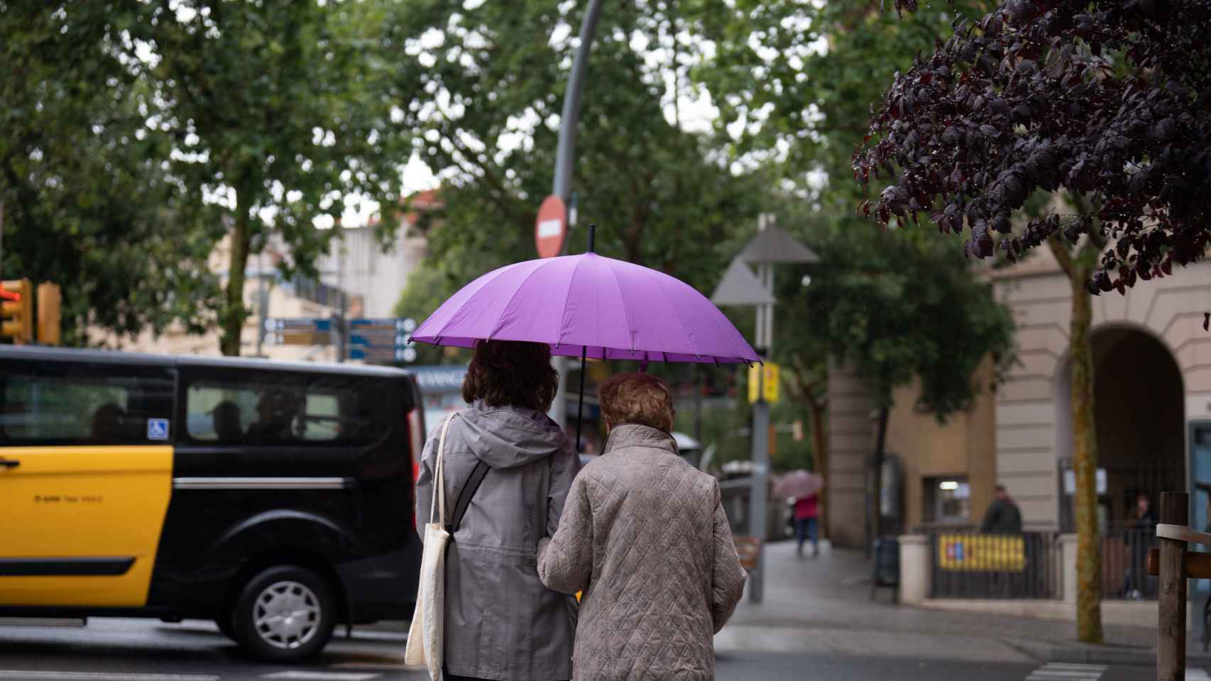 Varias personas con paraguas pasean por una de las calles de la ciudad