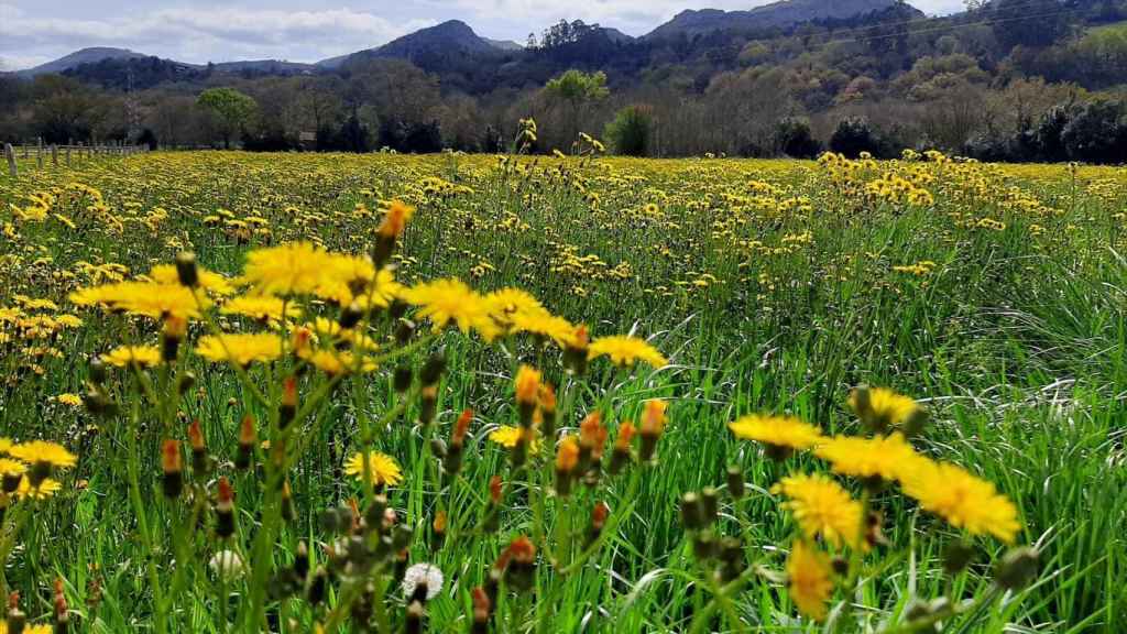 Vuelve el tiempo primaveral durante este Jueves Santo en Cataluña