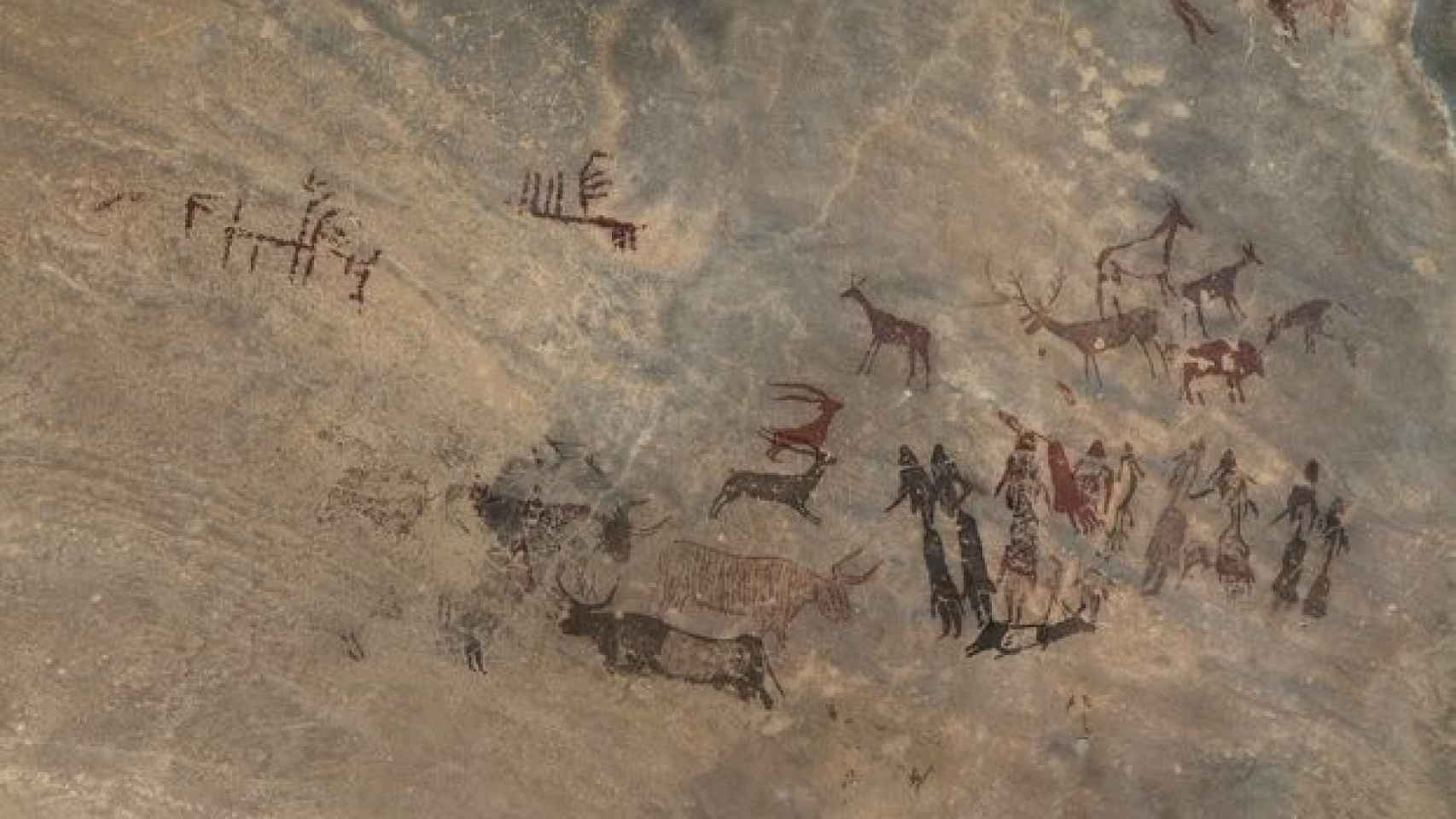 Pinturas rupestres del Cogul