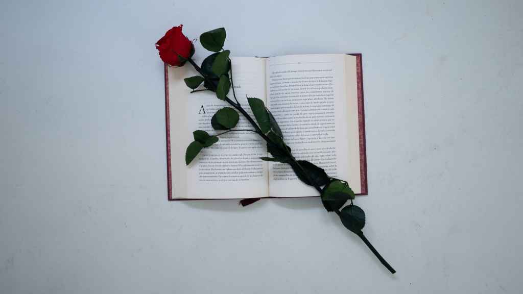 Libro con una rosa roja