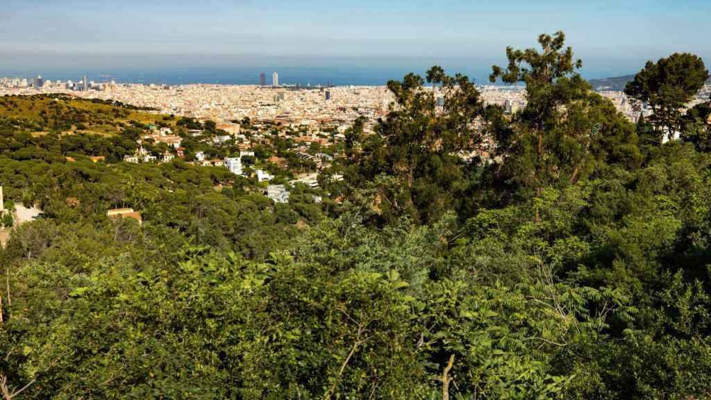 Vista panorámica de Barcelona des del Parc Natural de la Serra de Collserola