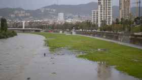 Crecida del río Besòs tras las lluvias del lunes