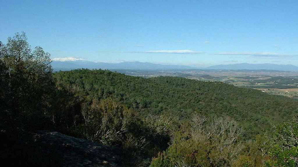 Las Gavarras (vista desde la Serra de Cals)