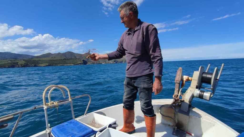 Cataluña ha intentado recuperar su lecho marino: ha sido un éxito