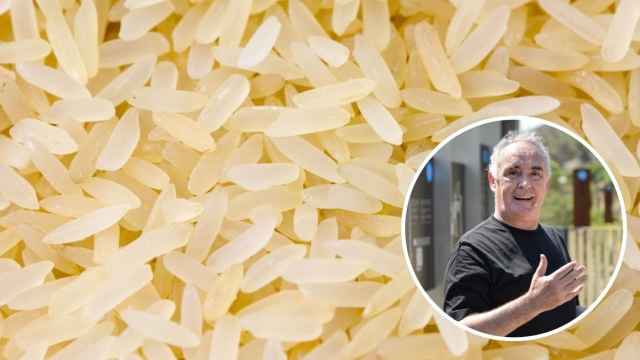 Fotomontaje arroz y Ferran Adrià