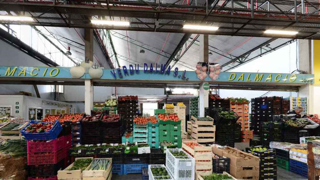 Paradas de la firma comercial hortofrutícola Verdu Dalma en Mercabarna