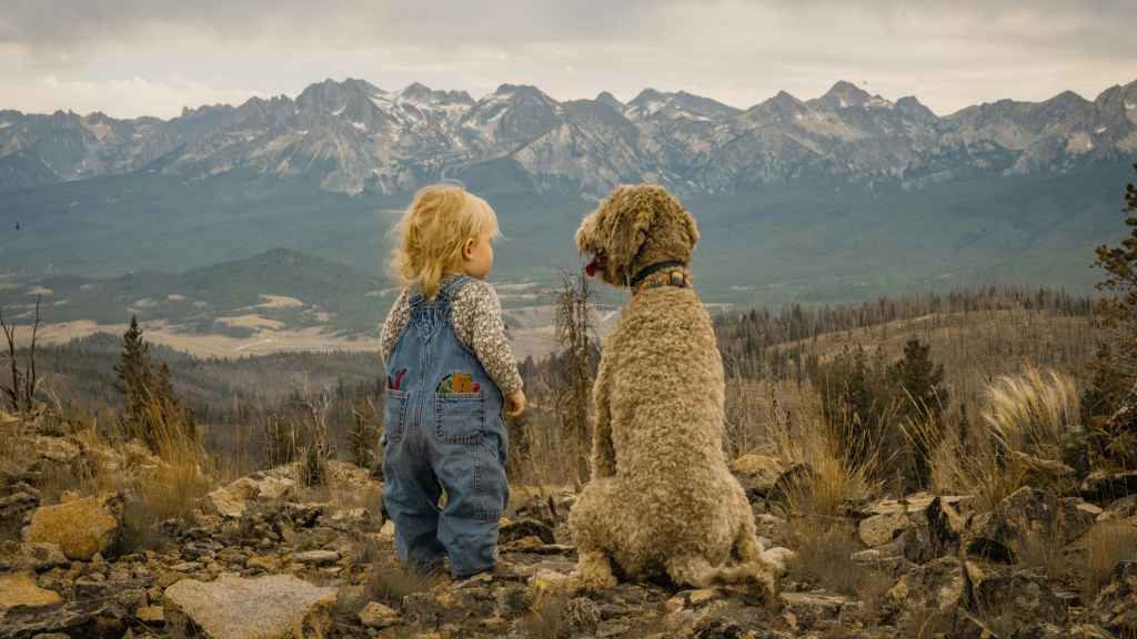 Un niño y un perro en la montaña