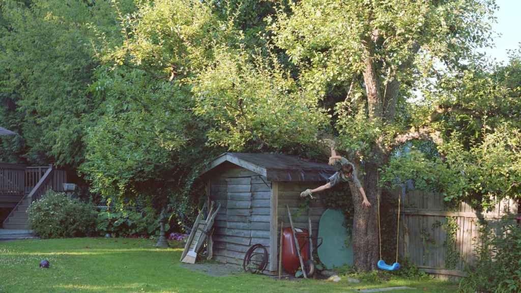 'Boy falls from tree', 2010