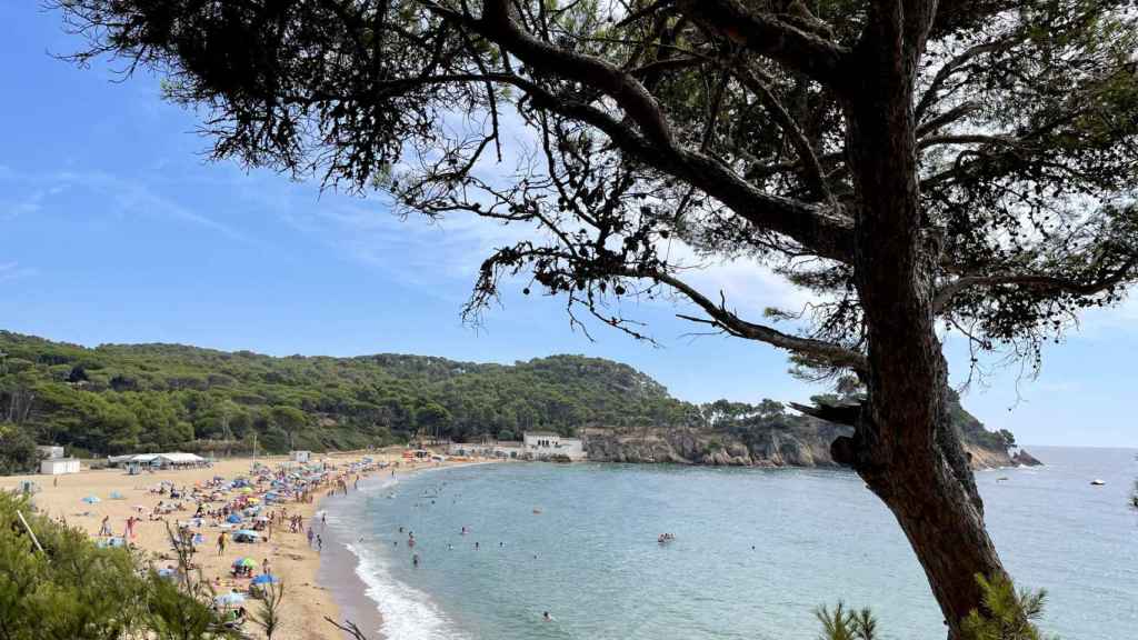 Playa del Castell de Palamós