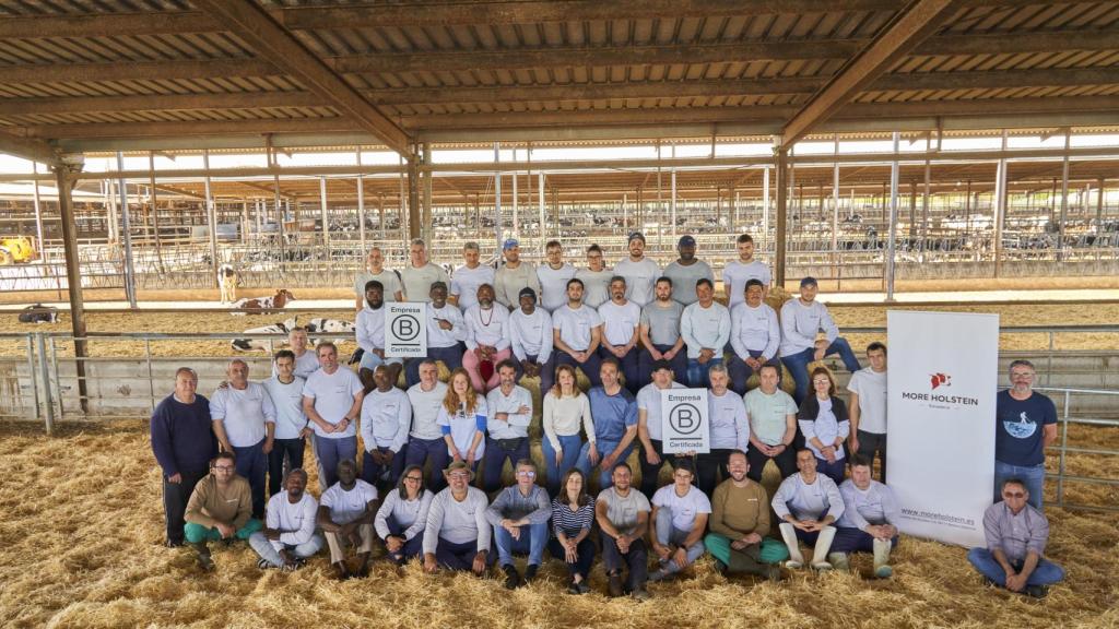 Trabajadores de la granja More Holstein
