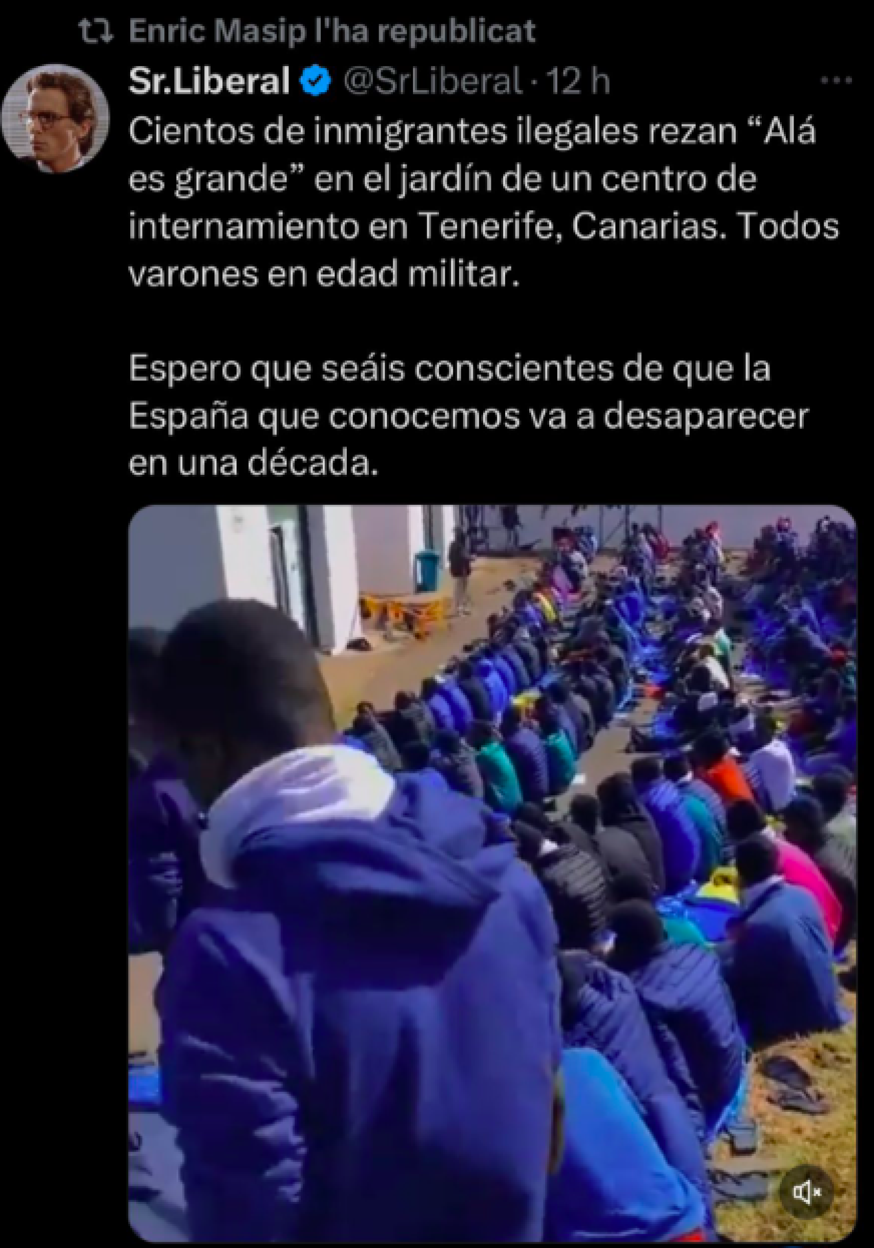 Tuit de Masip sobre inmigrantes ilegales