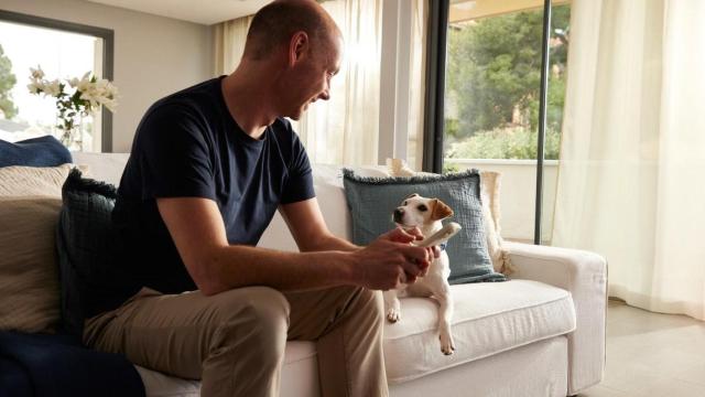 El nuevo seguro para perros Allianz Mascotas desde 82€ al año: visitas veterinarias gratuitas, asistencia veterinaria las 24/7, asesoramiento legal y mucho más