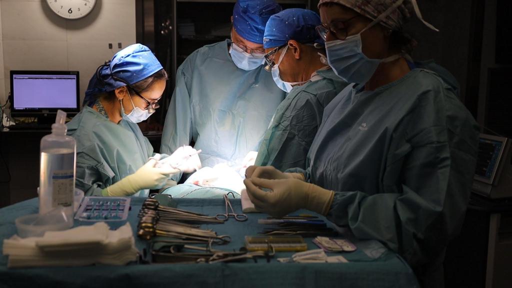 Una intervención quirúrgica en el Hospital del Mar de Barcelona