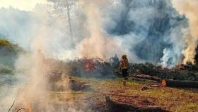 Agentes de bomberos apagan un incendio forestal