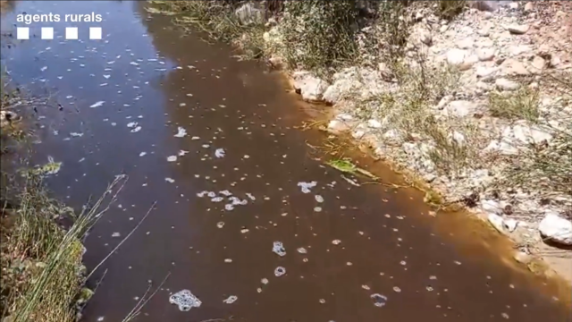 Vertido de purines en el río Abella (Lleida)