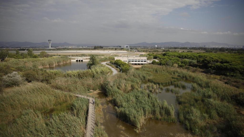 Imagen de la zona protegida de la Ricarda, en las proximidades del aeropuerto de Barcelona